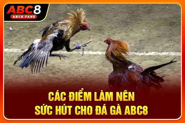 Đá Gà ABC8 Livestream Full HD 50+ Trận Thư Hùng Mỗi Ngày Các điểm làm nên sức hút cho đá gà ABC8