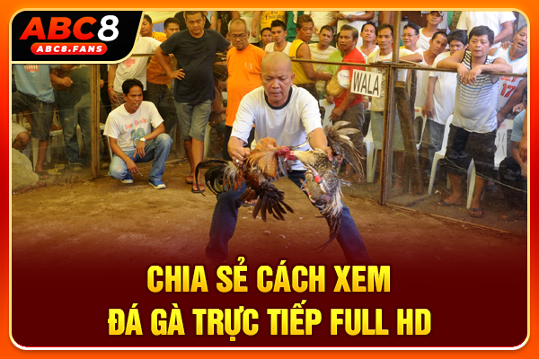 Đá Gà ABC8 Livestream Full HD 50+ Trận Thư Hùng Mỗi Ngày Chia sẻ cách xem đá gà trực tiếp full HD