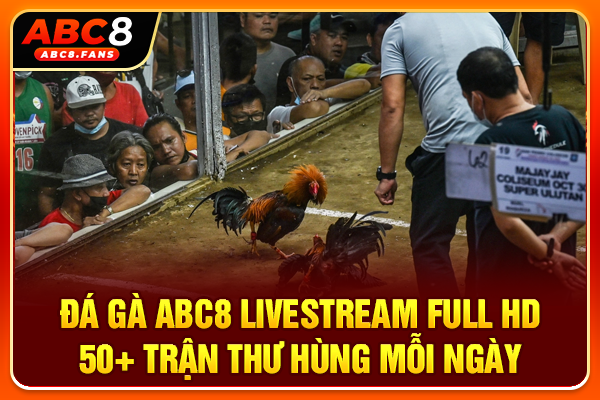 Đá Gà ABC8 Livestream Full HD 50+ Trận Thư Hùng Mỗi Ngày Đá Gà ABC8 Livestream Full HD 50+ Trận Thư Hùng Mỗi Ngày