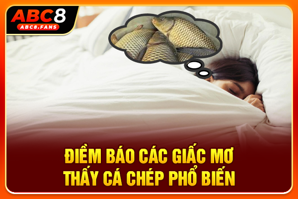 Giải Mã Giấc Mơ Thấy Cá Chép Và Tổng Hợp Số Đẹp Hôm Nay Điềm báo các giấc mơ thấy cá chép phổ biến