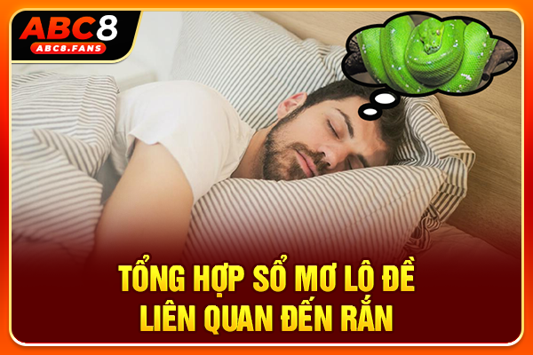Giải Mã Giấc Mơ Thấy Rắn Và Dự Đoán Những Bộ Số Nên Chốt Tổng hợp sổ mơ lô đề liên quan đến rắn
